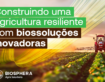 Agricultura resiliente: microrganismos que fortalecem a produtividade
