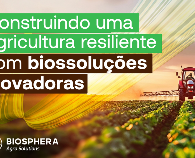 Captura de tela 2026-02-16 105648