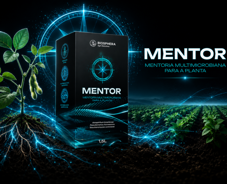 Foto Mentor notívia