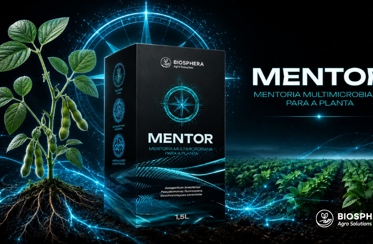 Foto Mentor - 858x483 px